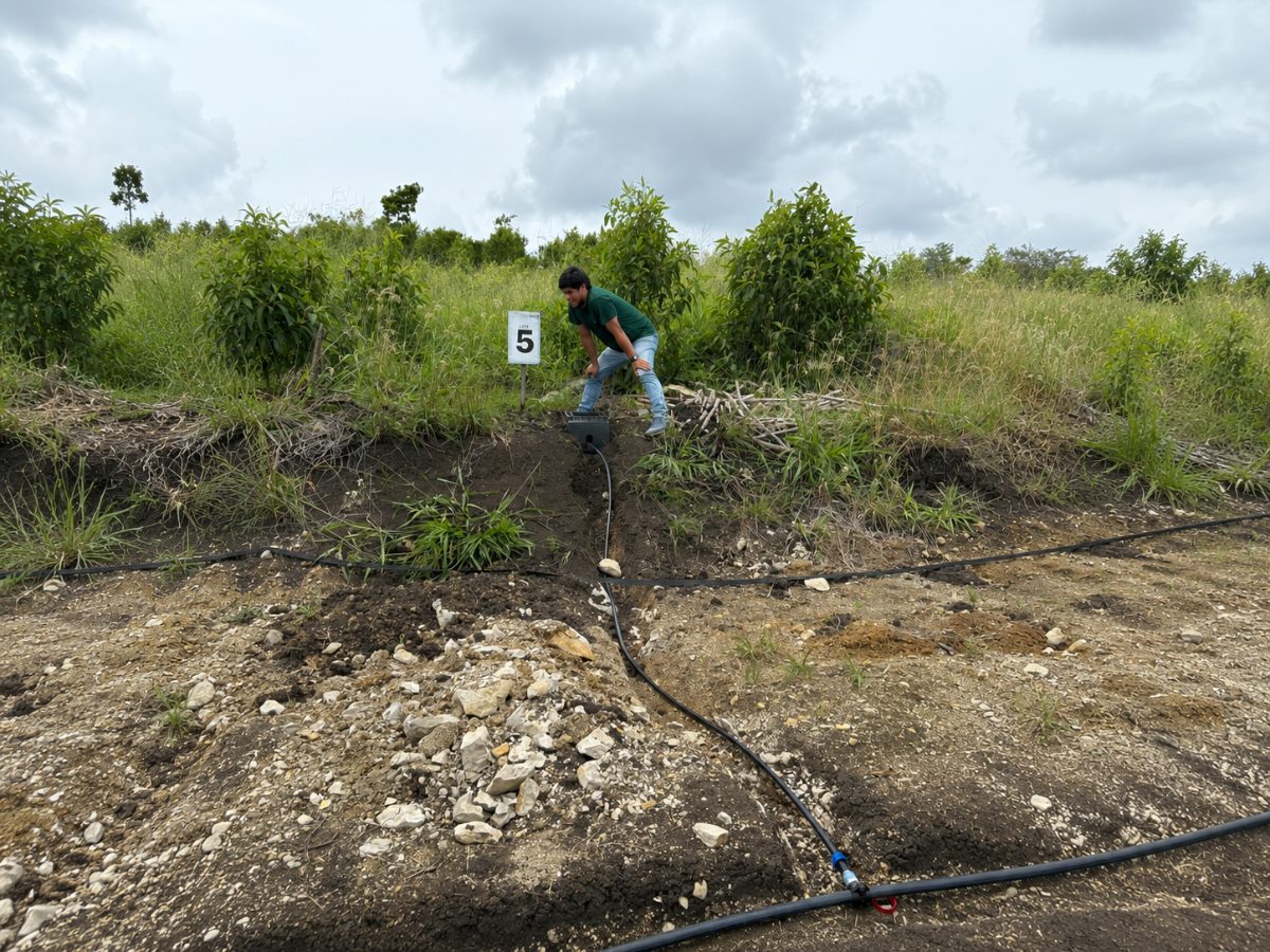 agua instalada