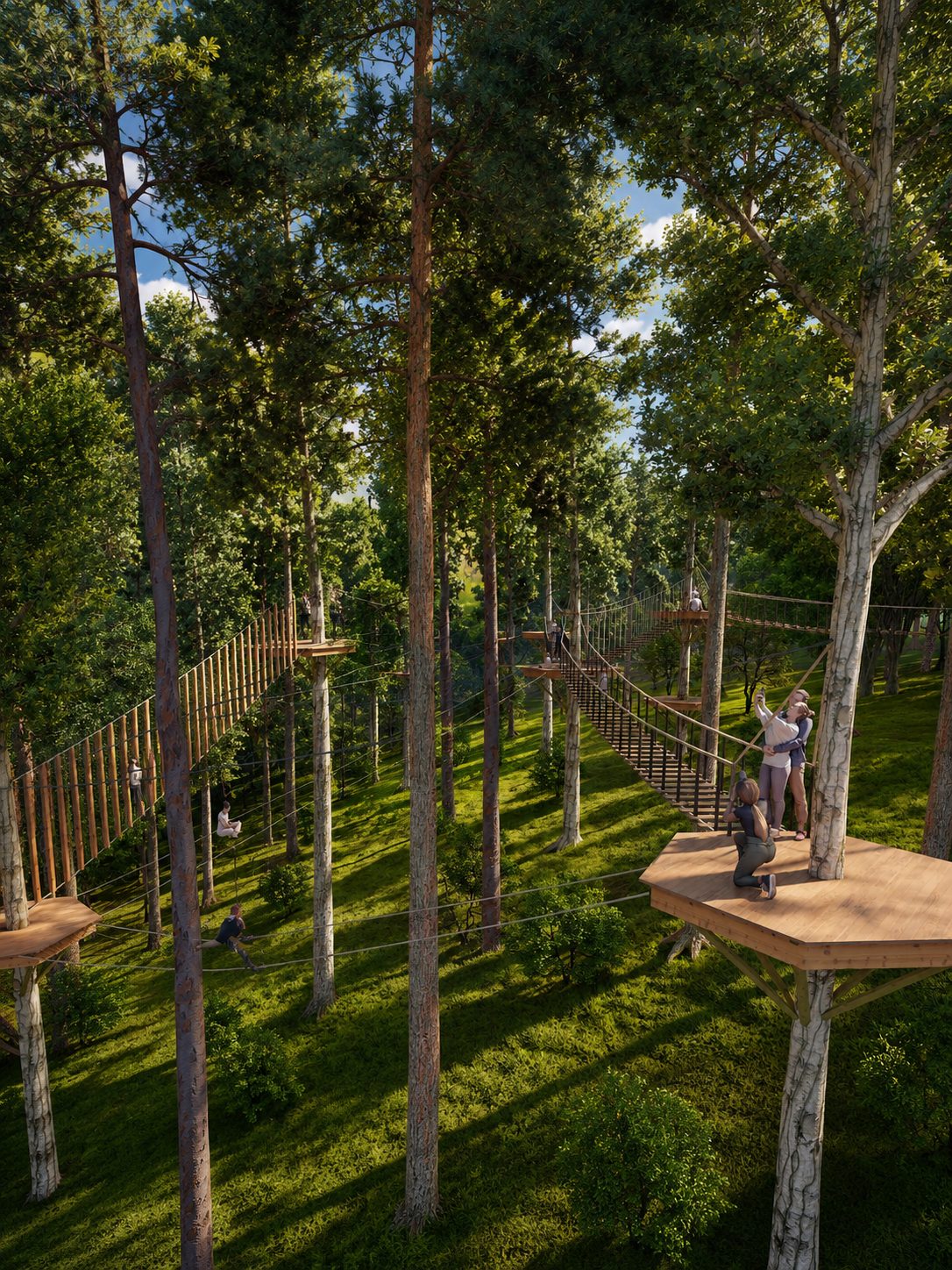 principal: circuito de aventura en bosque privado NUNA