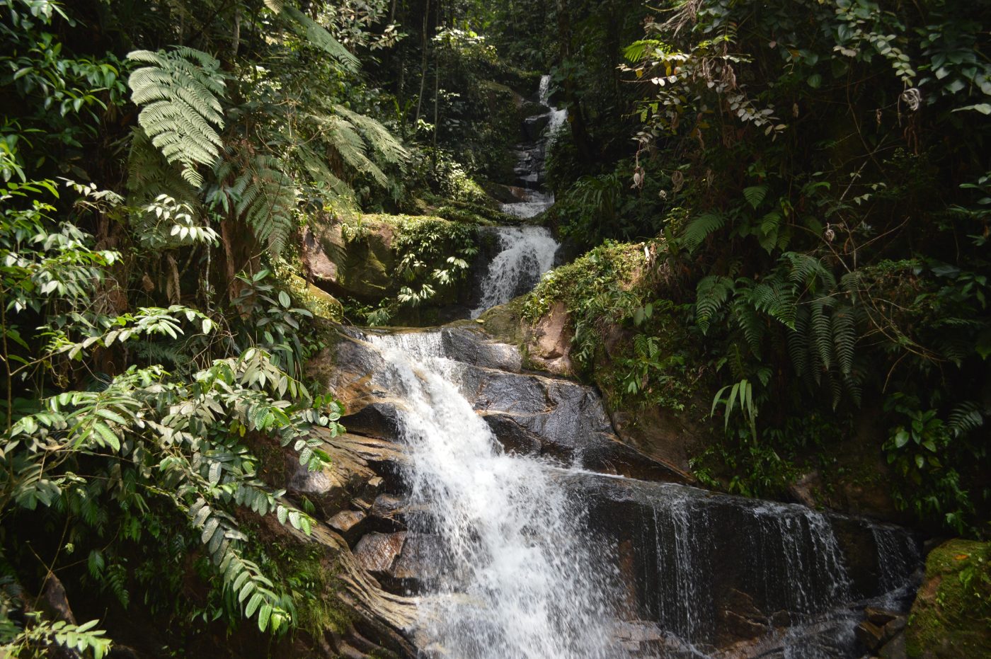 Cascada Pucayacu